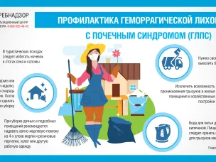 Профилактика геморрагической лихорадки с почечным синдромом(ГЛПС)